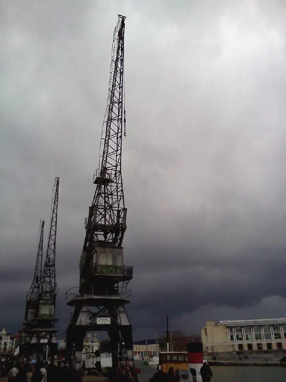 Rainy Cranes