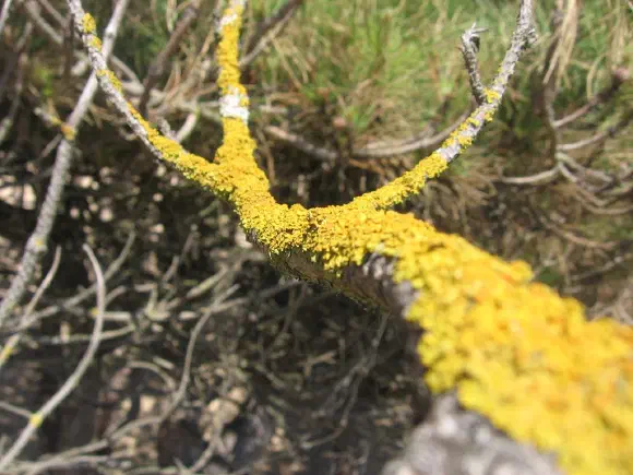 Enjoy the Good Weather