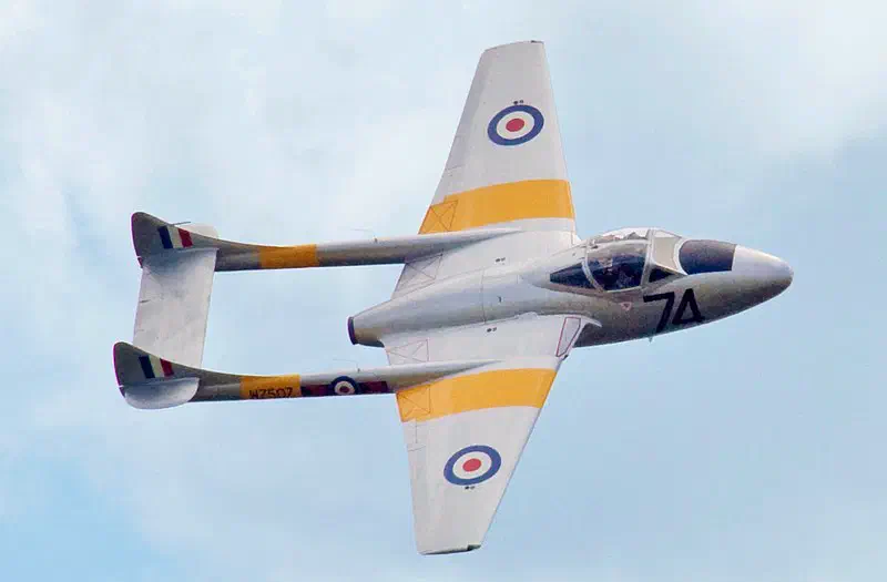 Copyright Tony Hisgett via Wikimedia Commons