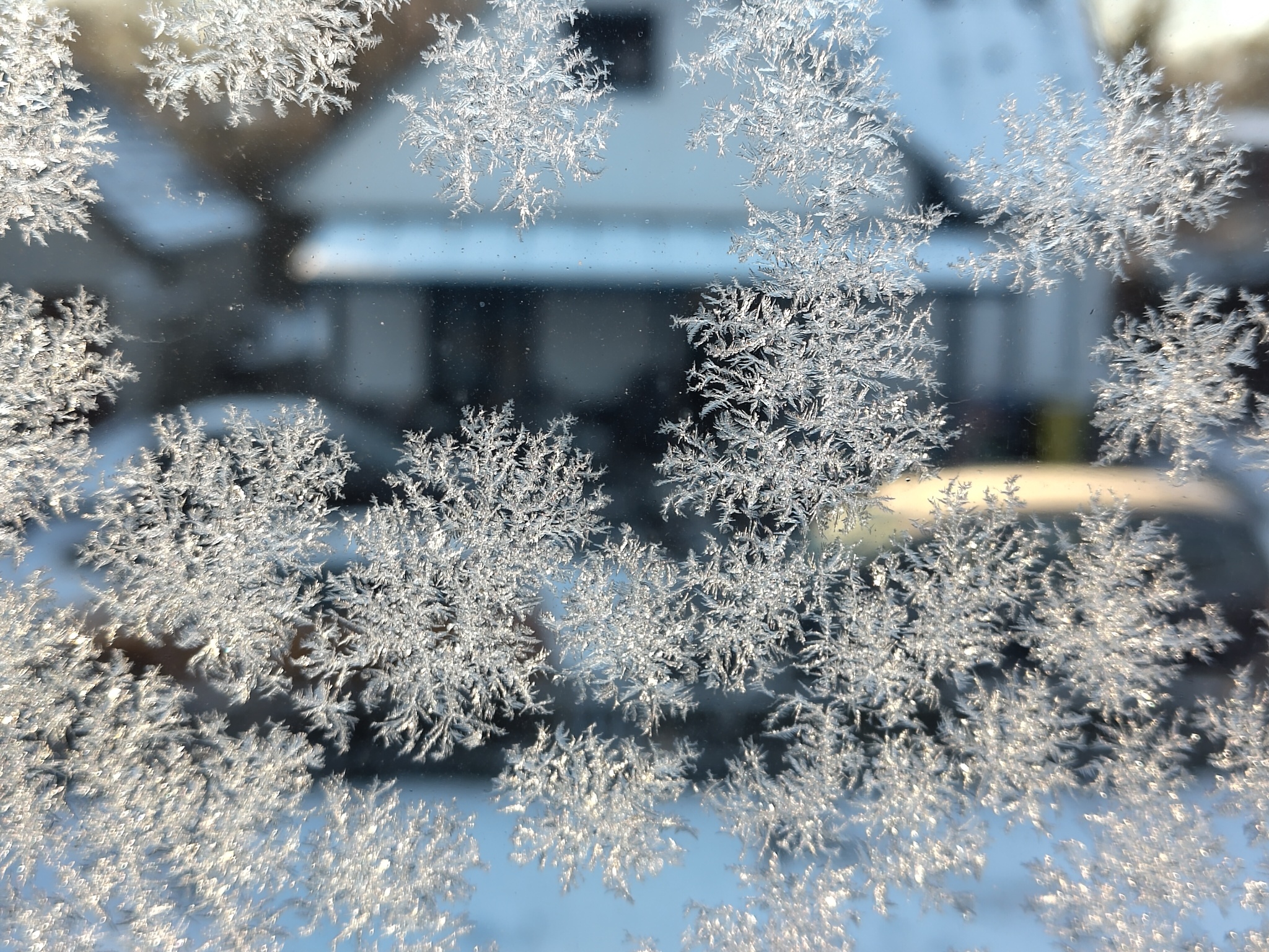 Some large frost patterns on a glass window, being brightly lit by the morning sun